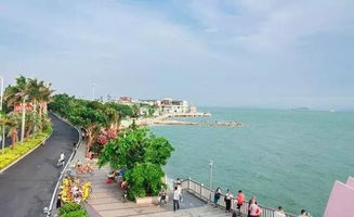 四天厦门旅游攻略最新