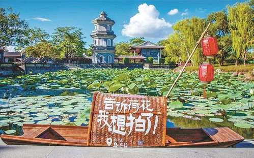 厦门园博苑 旅游攻略