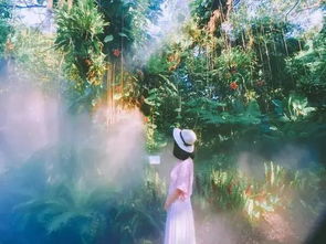 厦门旅游攻略冬天2天
