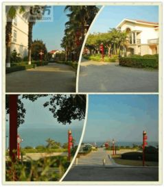 普陀寺厦门旅游住宿攻略