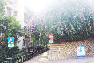 厦门旅游攻略国庆7天