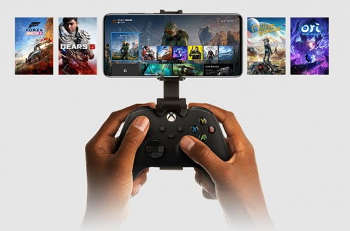 xbox手机游戏有哪些