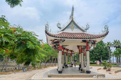 厦门亲子旅游3天攻略