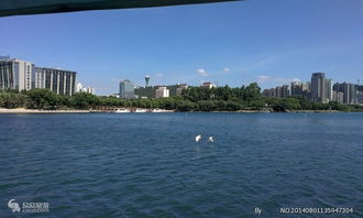 旅游攻略厦门重庆路线