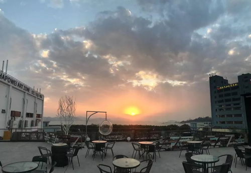 天台旅游攻略厦门探店