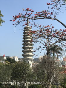 厦门带娃冬天旅游攻略