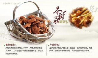 福州有什么土特产送礼
