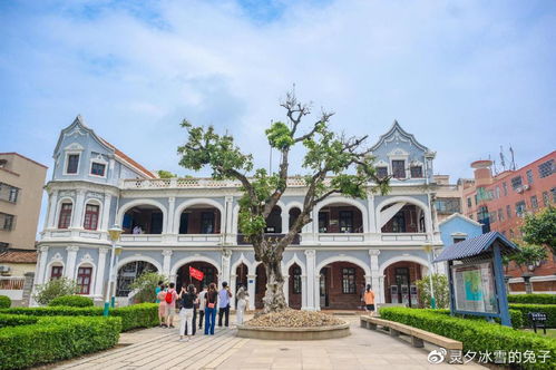 旅游攻略厦门亲子民宿