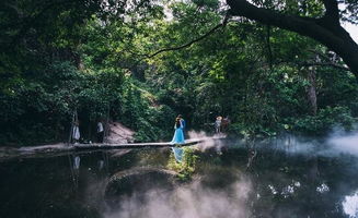 旅游视频怎么拍厦门攻略
