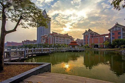 厦门大学花海攻略旅游