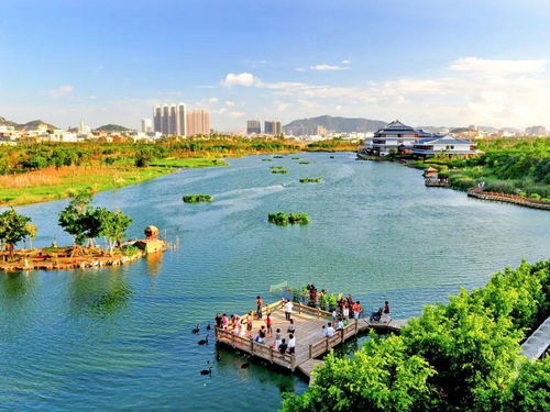 厦门湖里康养旅游攻略