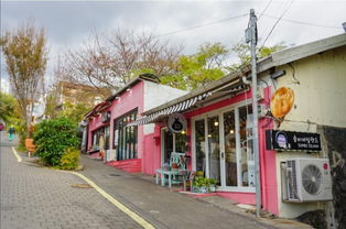 韩国旅游攻略厦门探店