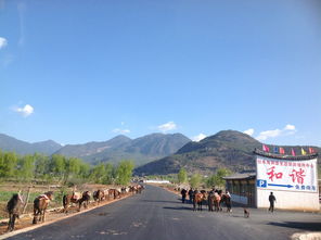 昆明至厦门攻略旅游团
