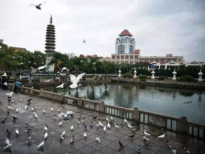 厦门飞延吉旅游攻略图片