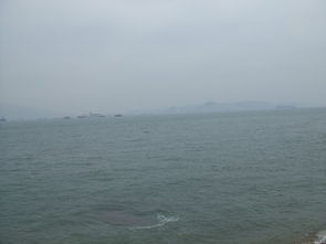 7月厦门上海旅游攻略