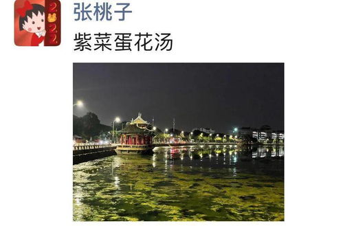 仲夏夜来厦门旅游攻略