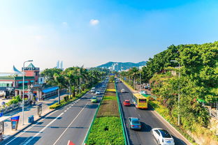 厦门旅游攻略鼓环岛路