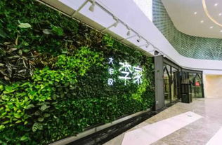 福州泰禾广场特产店