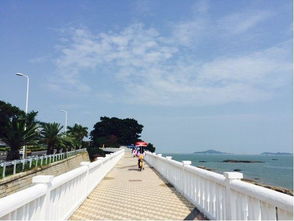 厦门旅游攻略环岛路骑行