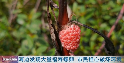 福州溪尾特产有哪些地方