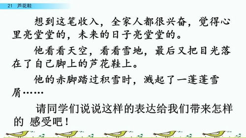 厦门流感旅游攻略图文版