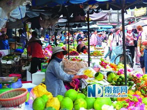 福州特产菜市场地址
