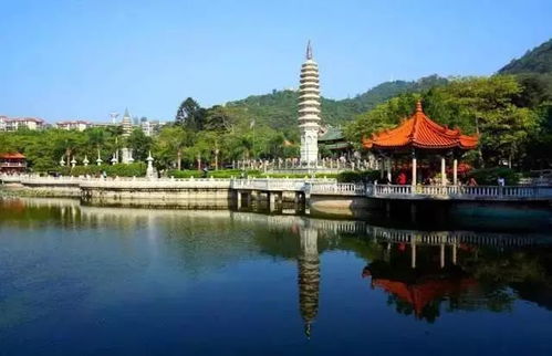 剿斐济旅游攻略厦门探店