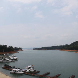 万绿湖旅游攻略厦门