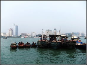 厦门超强旅游攻略大全图片