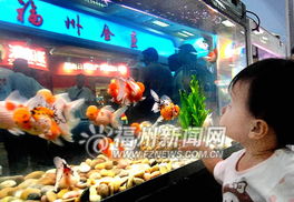 福州金鱼特产店在哪里