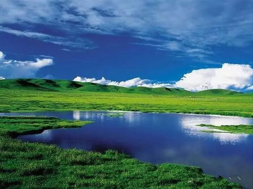 大草原旅游攻略厦门民宿
