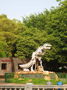 厦门旅游看动物园攻略