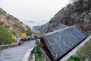 泰山住宿攻略游戏