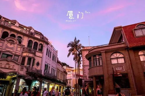 去厦门旅游看海攻略图文
