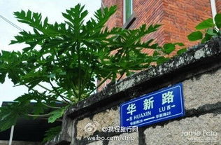 途牛旅游网厦门攻略