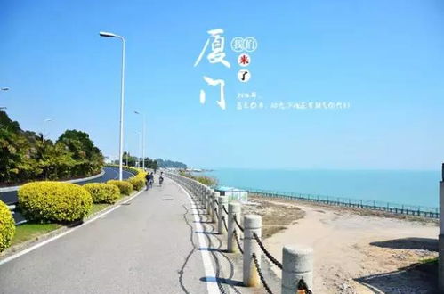 厦门骑电车旅游攻略图片