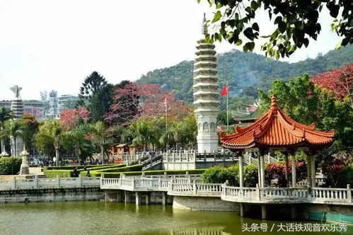 厦门冬天带娃旅游攻略图