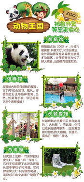 厦门旅游攻略动物园文案