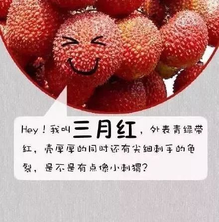 荔枝互动游戏有哪些