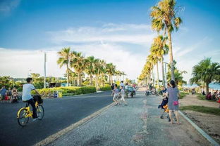 厦门周来旅游攻略图片