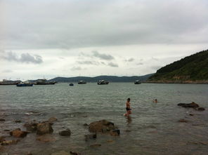 台州厦门大陈岛旅游攻略