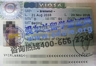爱尔兰签证攻略游戏