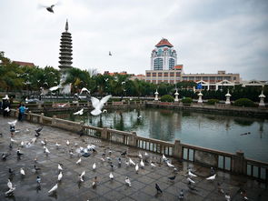 厦门旅游攻略大眼仔景区