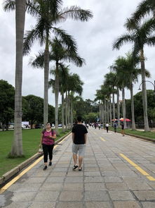 去厦门二人旅游攻略