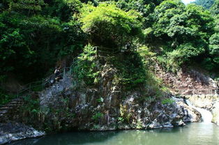 厦门徒步野山谷旅游攻略