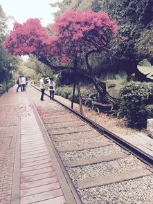 厦门百花公园旅游攻略