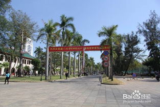 厦门大学里的旅游攻略