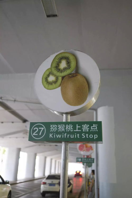 福州长乐水果特产店地址