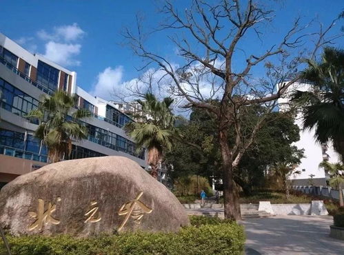 福州晋安区宦溪镇特产