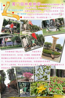 厦门旅游养生攻略图文版